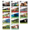 shop non fiction 02