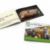 stage 3 book 1
