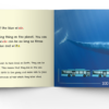 stage 8 blue whale inside 1
